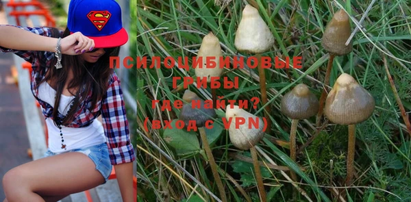 прущие крисы Алексеевка
