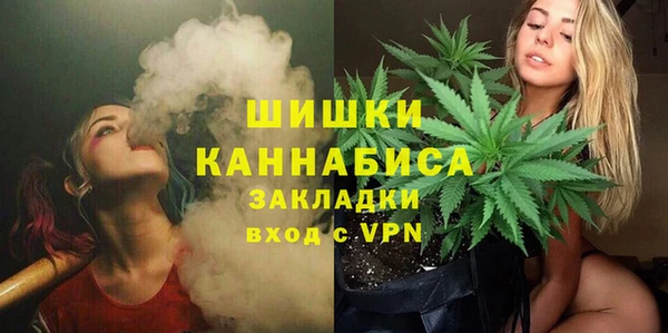 индика Нижневартовск