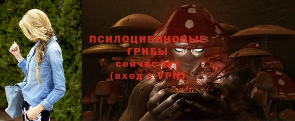 прущие крисы Алексеевка