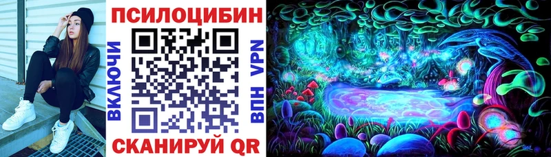 магазин    Ардатов  Галлюциногенные грибы Magic Shrooms 
